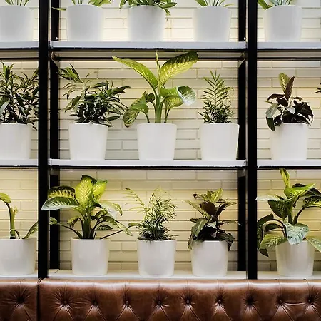 Praktik Bakery Hotel Barcelona
