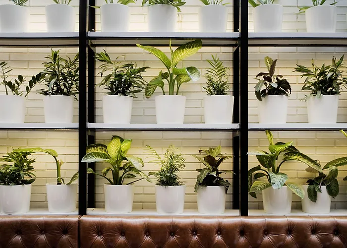 Praktik Bakery 3* Barcelona